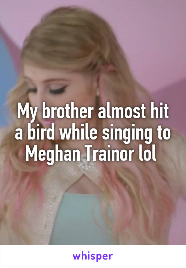 My brother almost hit a bird while singing to Meghan Trainor lol 