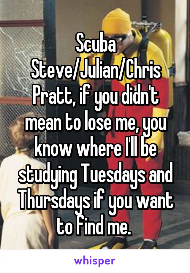 Scuba Steve/Julian/Chris Pratt, if you didn't mean to lose me, you know where I'll be studying Tuesdays and Thursdays if you want to find me. 