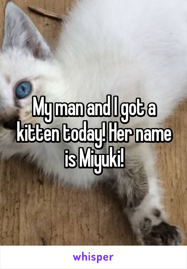 My man and I got a kitten today! Her name is Miyuki!