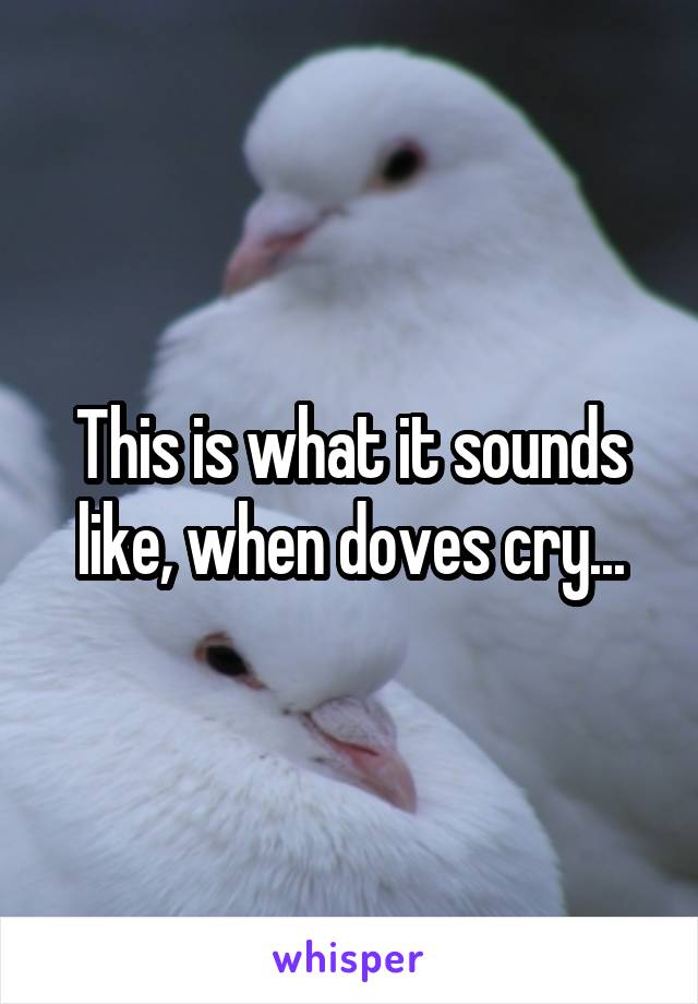 This is what it sounds like, when doves cry...