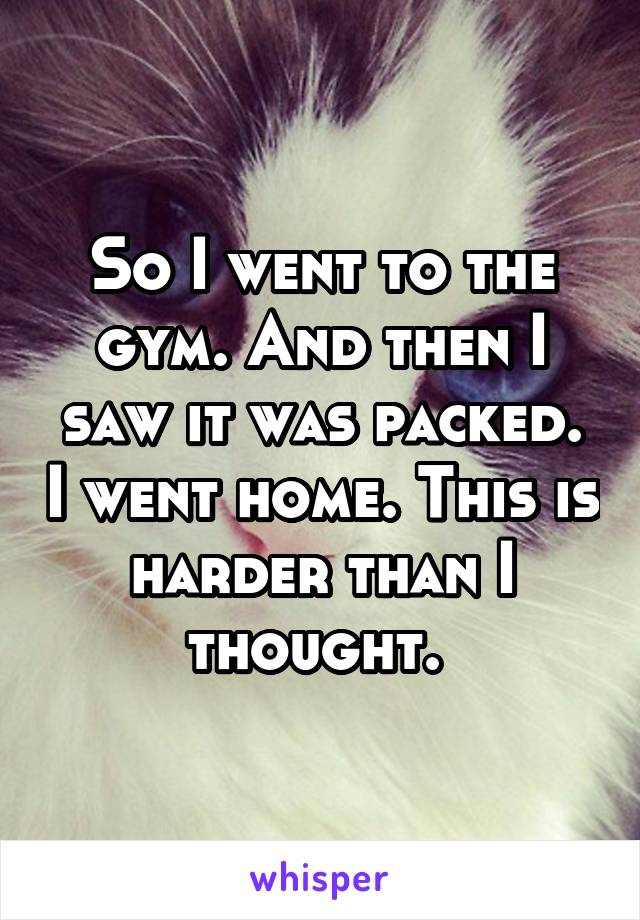 So I went to the gym. And then I saw it was packed. I went home. This is harder than I thought. 