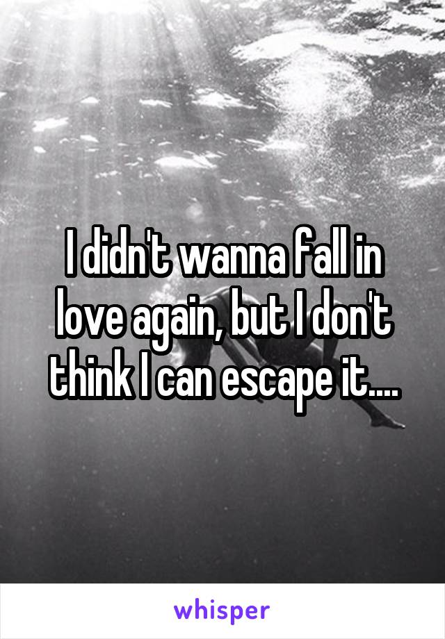 I didn't wanna fall in love again, but I don't think I can escape it....