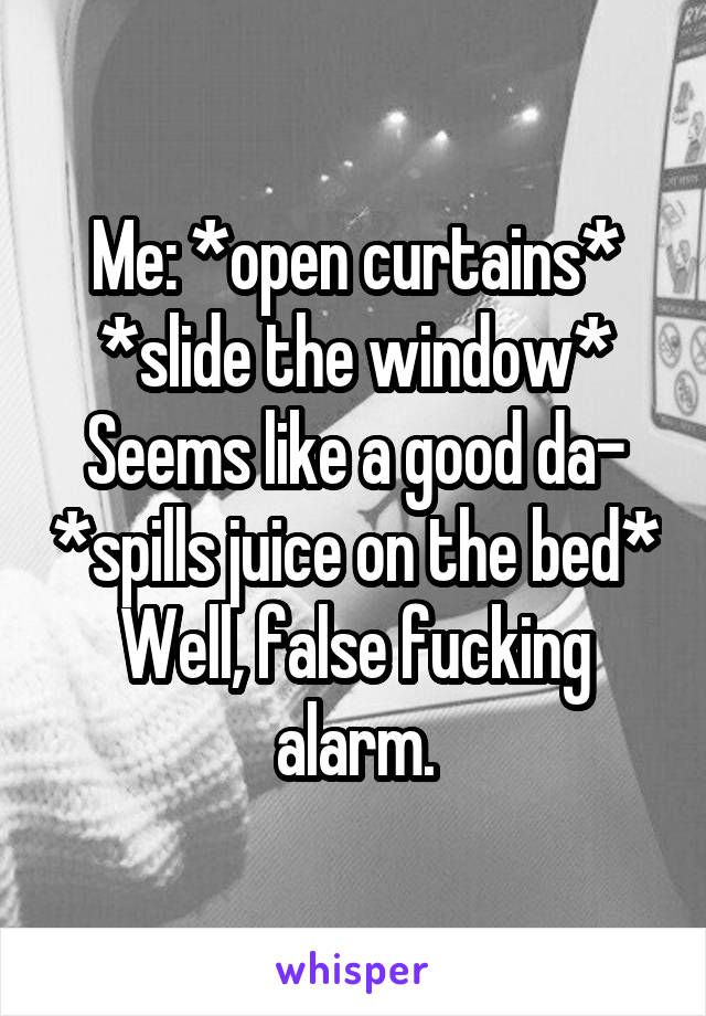 Me: *open curtains*
*slide the window*
Seems like a good da- *spills juice on the bed*
Well, false fucking alarm.