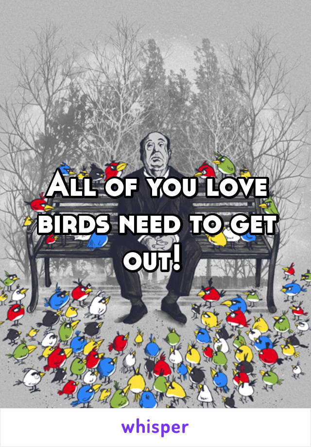 All of you love birds need to get out! 