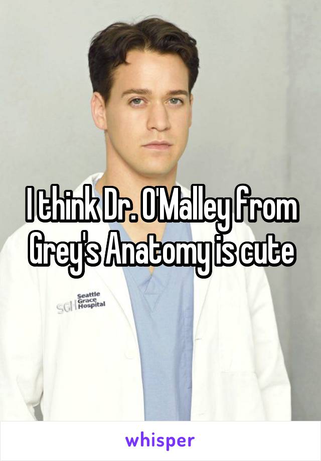 I think Dr. O'Malley from Grey's Anatomy is cute