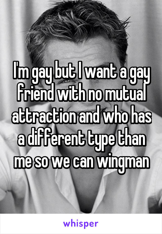 I'm gay but I want a gay friend with no mutual attraction and who has a different type than me so we can wingman