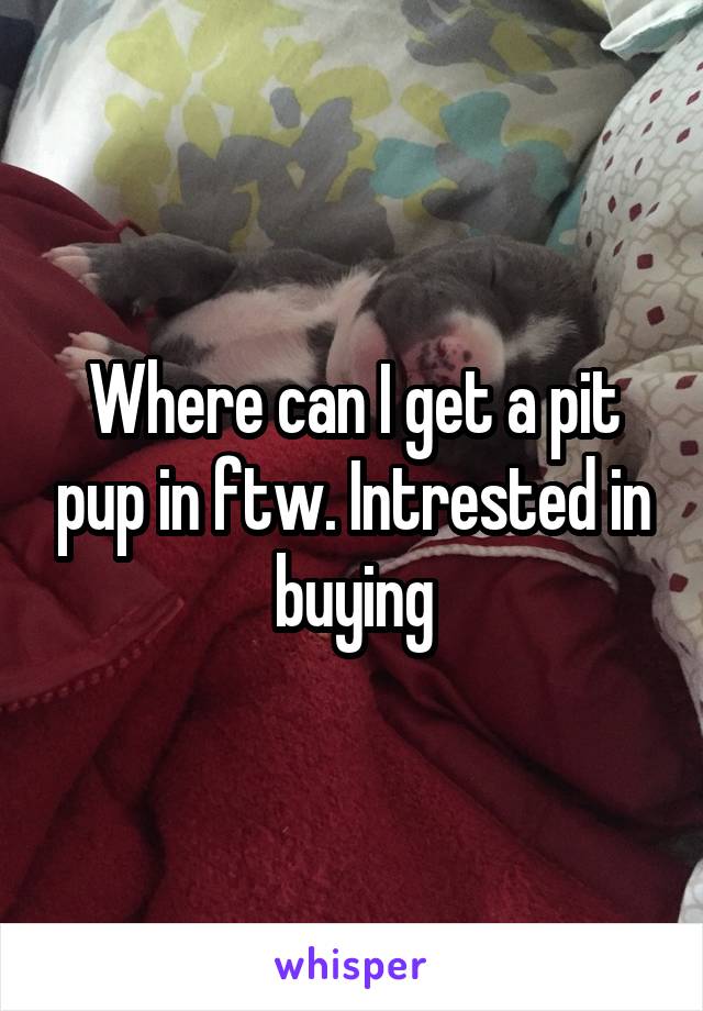 Where can I get a pit pup in ftw. Intrested in buying