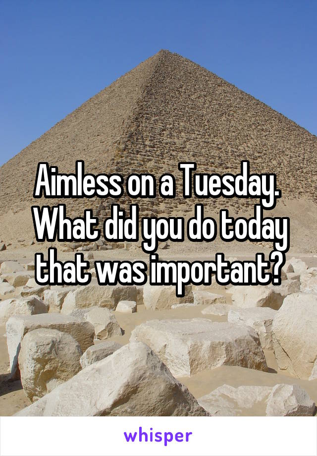 Aimless on a Tuesday.  What did you do today that was important?