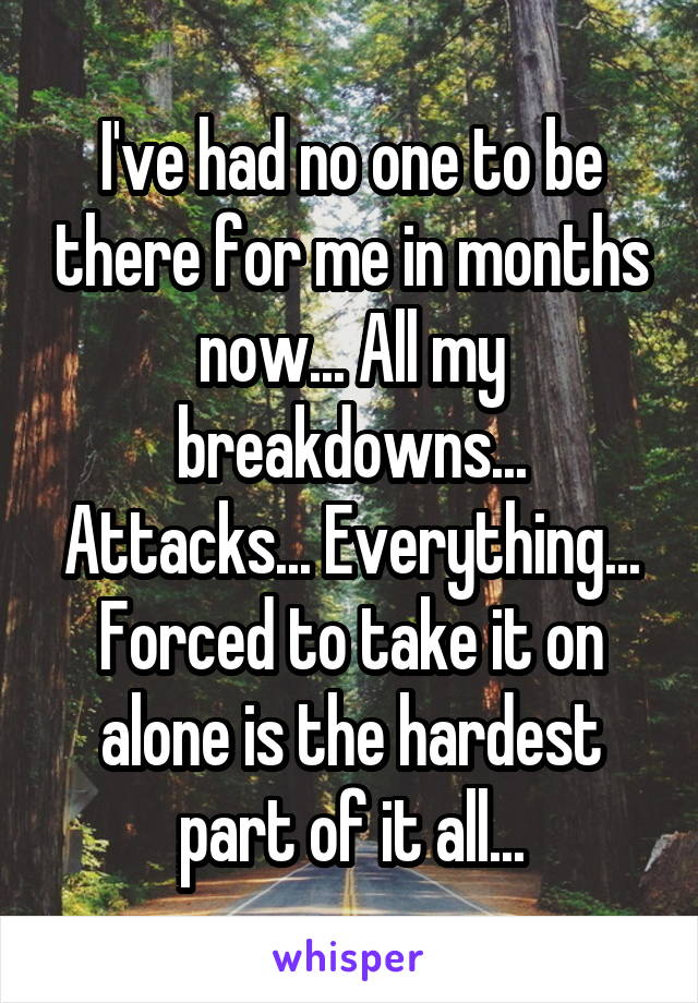 I've had no one to be there for me in months now... All my breakdowns... Attacks... Everything... Forced to take it on alone is the hardest part of it all...