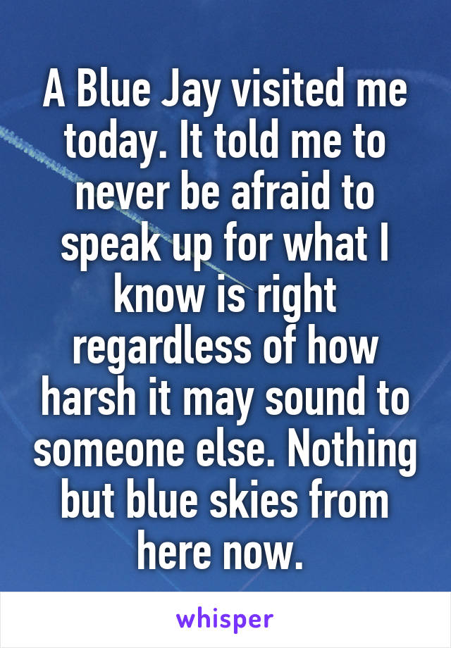 A Blue Jay visited me today. It told me to never be afraid to speak up for what I know is right regardless of how harsh it may sound to someone else. Nothing but blue skies from here now. 