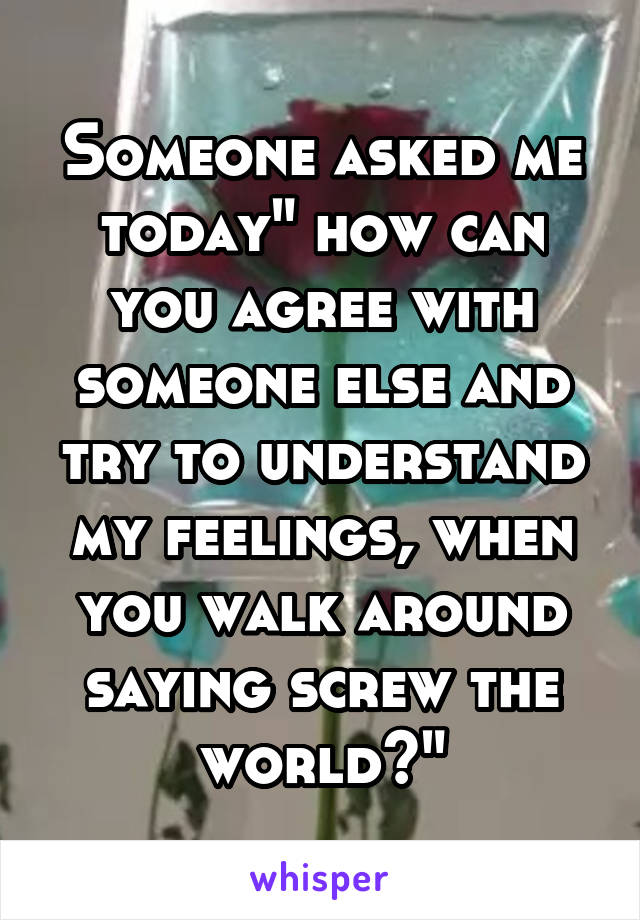 Someone asked me today" how can you agree with someone else and try to understand my feelings, when you walk around saying screw the world?"