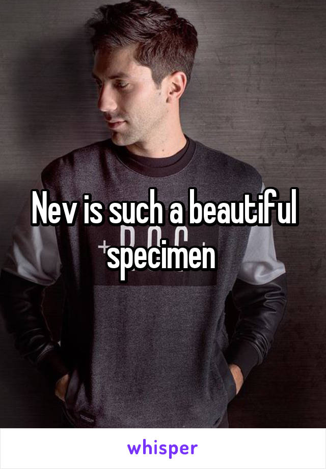 Nev is such a beautiful specimen 