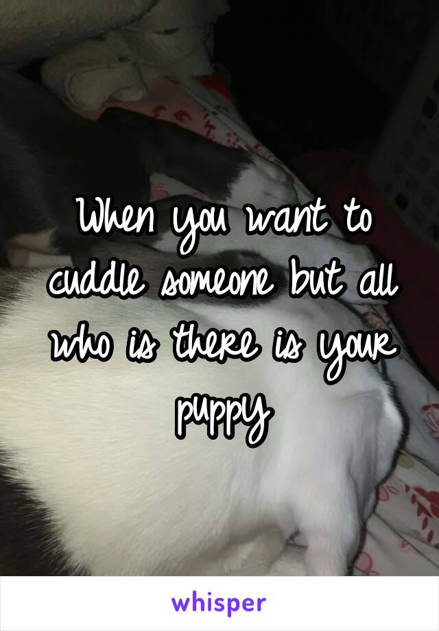 When you want to cuddle someone but all who is there is your puppy