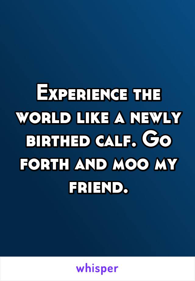 Experience the world like a newly birthed calf. Go forth and moo my friend.