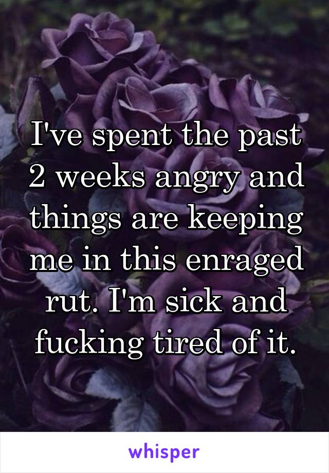 I've spent the past 2 weeks angry and things are keeping me in this enraged rut. I'm sick and fucking tired of it.