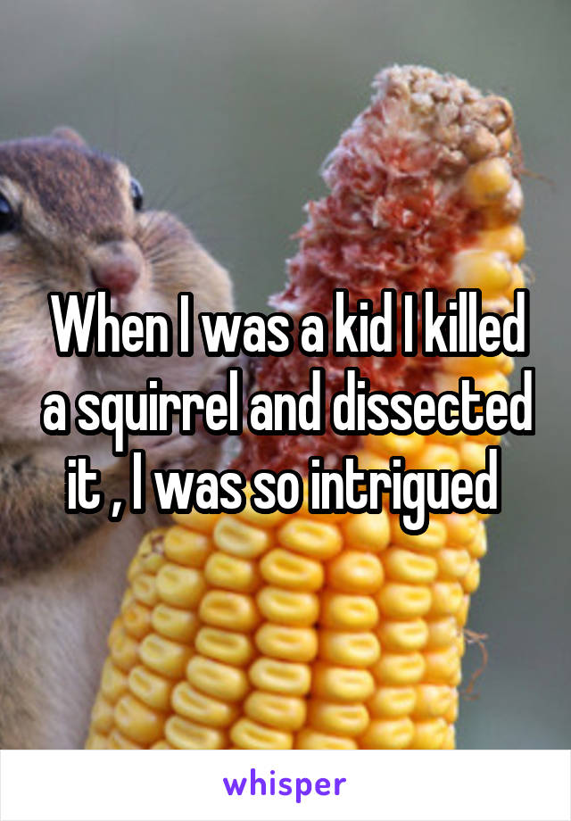 When I was a kid I killed a squirrel and dissected it , I was so intrigued 