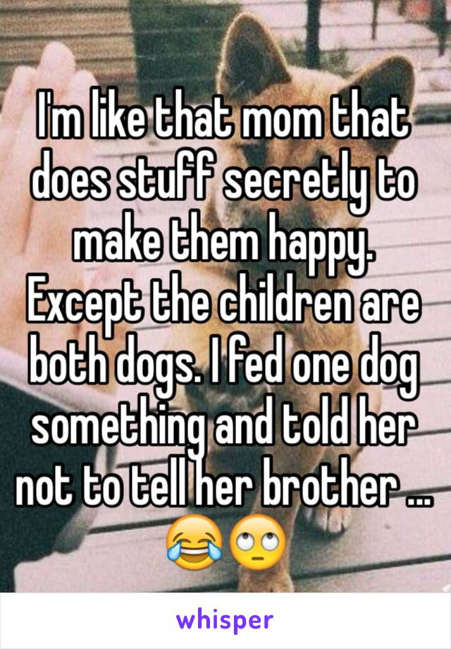 I'm like that mom that does stuff secretly to make them happy. Except the children are both dogs. I fed one dog something and told her not to tell her brother ... 😂🙄