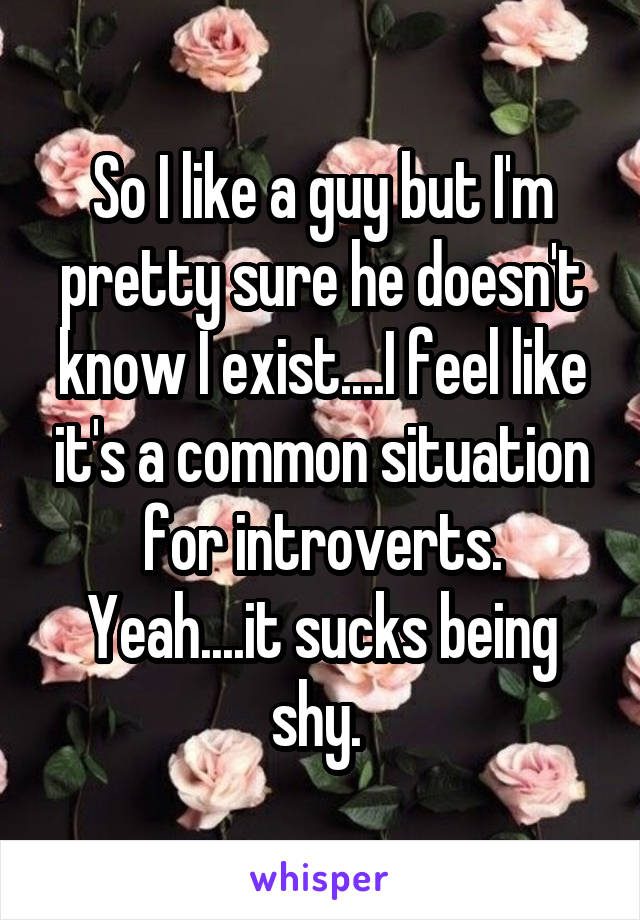 So I like a guy but I'm pretty sure he doesn't know I exist....I feel like it's a common situation for introverts. Yeah....it sucks being shy. 