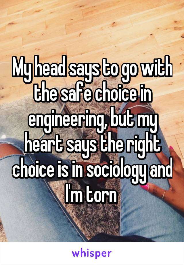 My head says to go with the safe choice in engineering, but my heart says the right choice is in sociology and I'm torn 