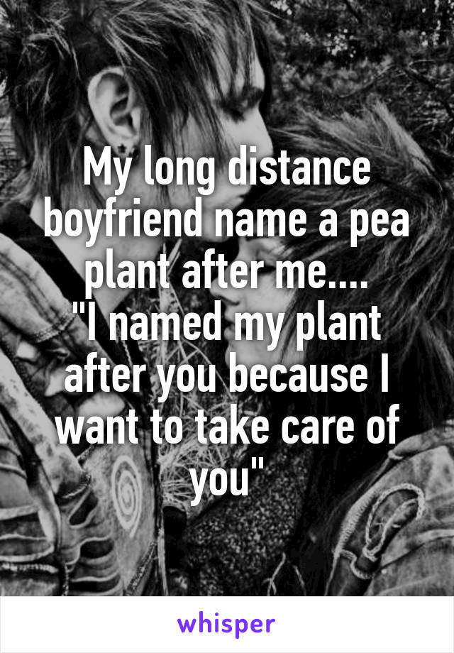 My long distance boyfriend name a pea plant after me....
"I named my plant after you because I want to take care of you"