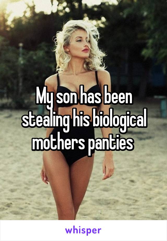 My son has been stealing his biological mothers panties 