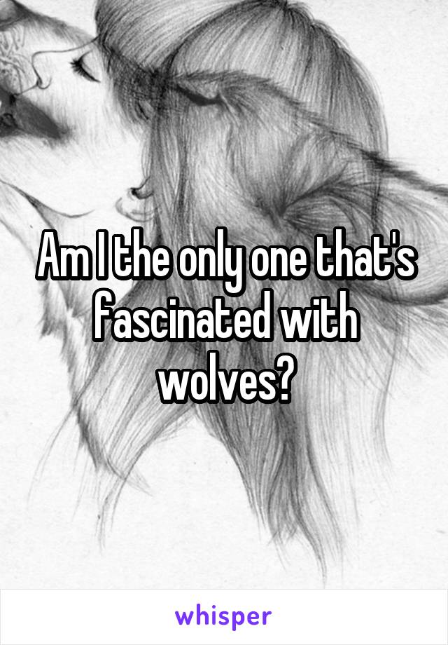 Am I the only one that's fascinated with wolves?