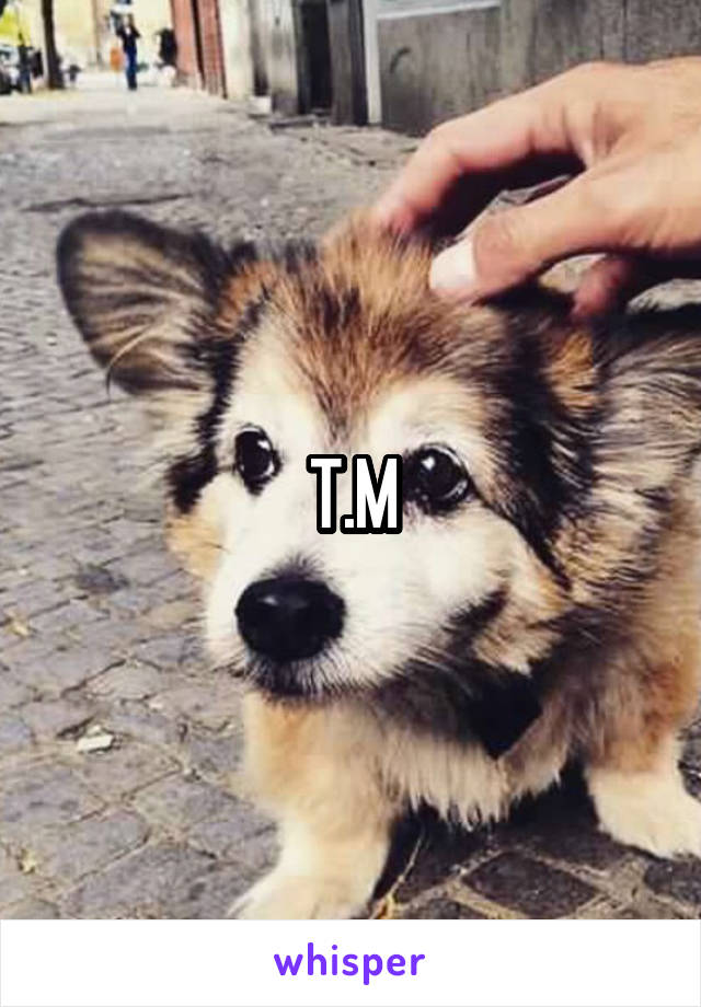 T.M