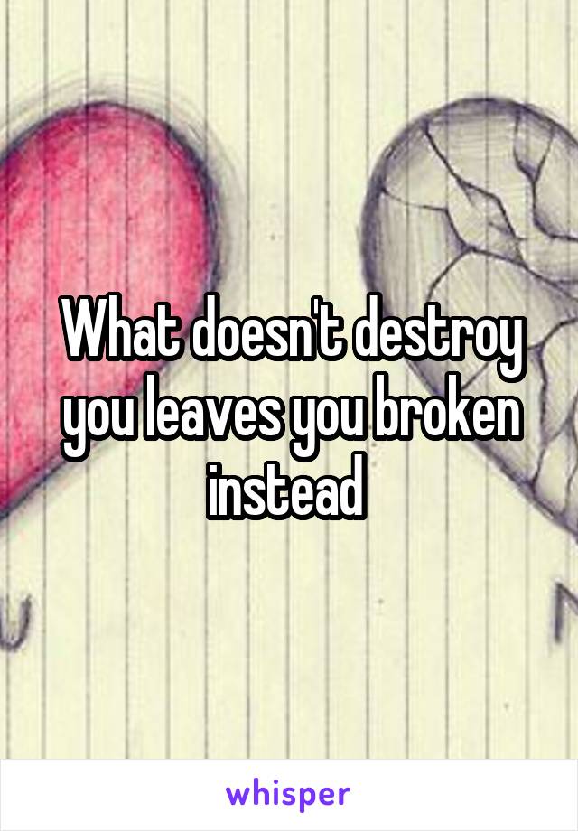 What doesn't destroy you leaves you broken instead 