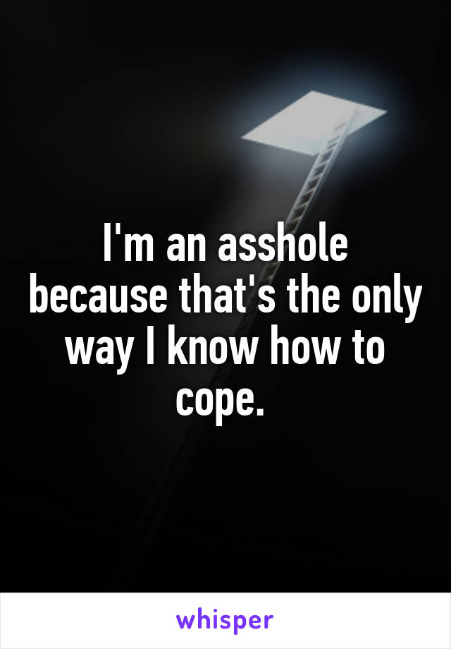 I'm an asshole because that's the only way I know how to cope. 