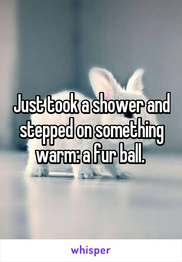 Just took a shower and stepped on something warm: a fur ball. 