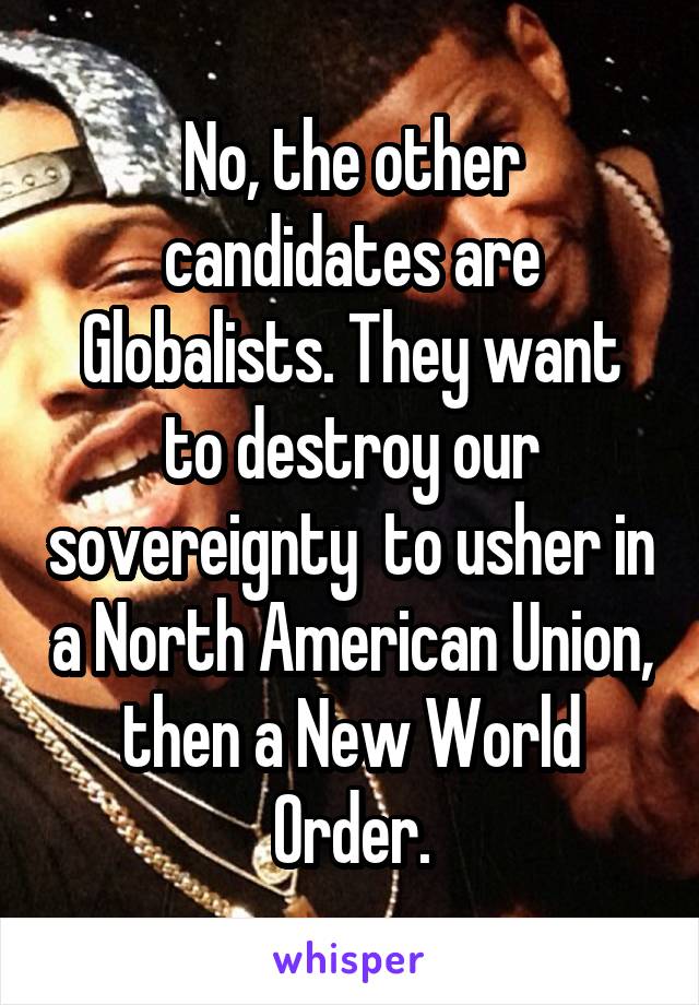 No, the other candidates are Globalists. They want to destroy our sovereignty  to usher in a North American Union, then a New World Order.