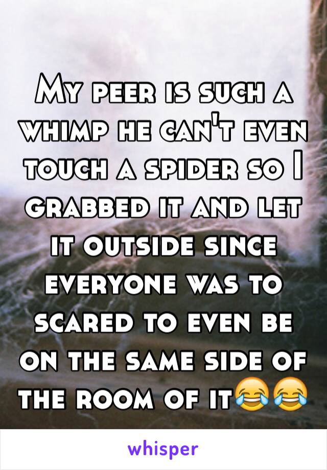 My peer is such a whimp he can't even touch a spider so I grabbed it and let it outside since everyone was to scared to even be on the same side of the room of it😂😂