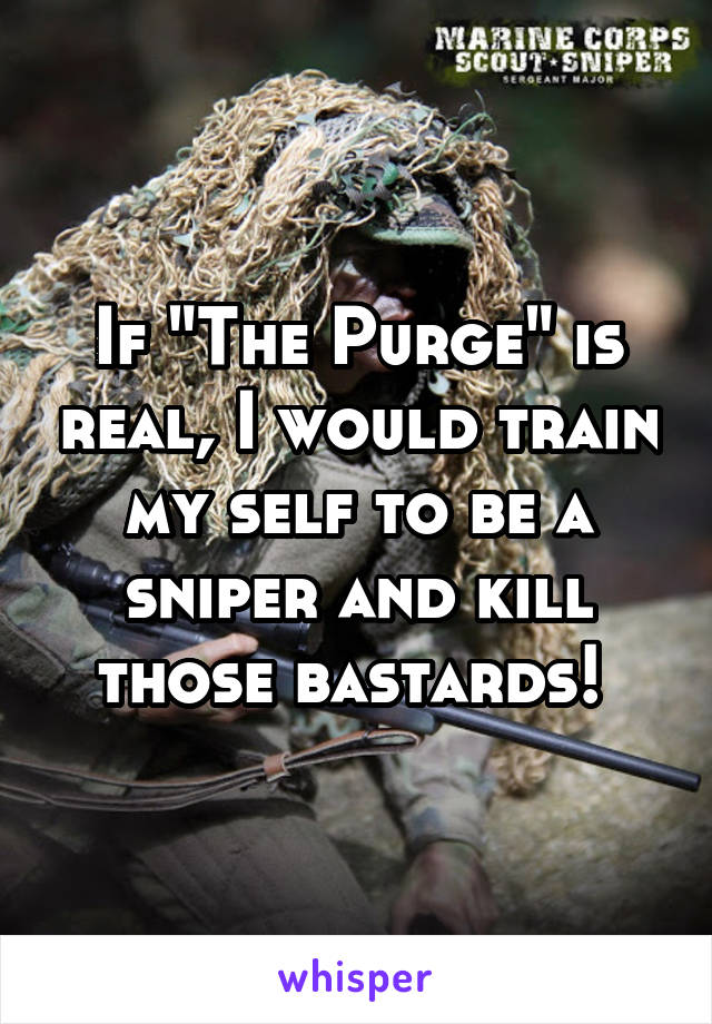 If "The Purge" is real, I would train my self to be a sniper and kill those bastards! 