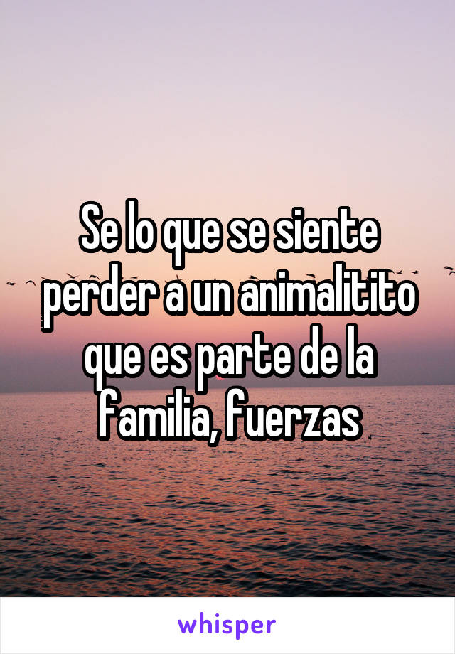 Se lo que se siente perder a un animalitito que es parte de la familia, fuerzas