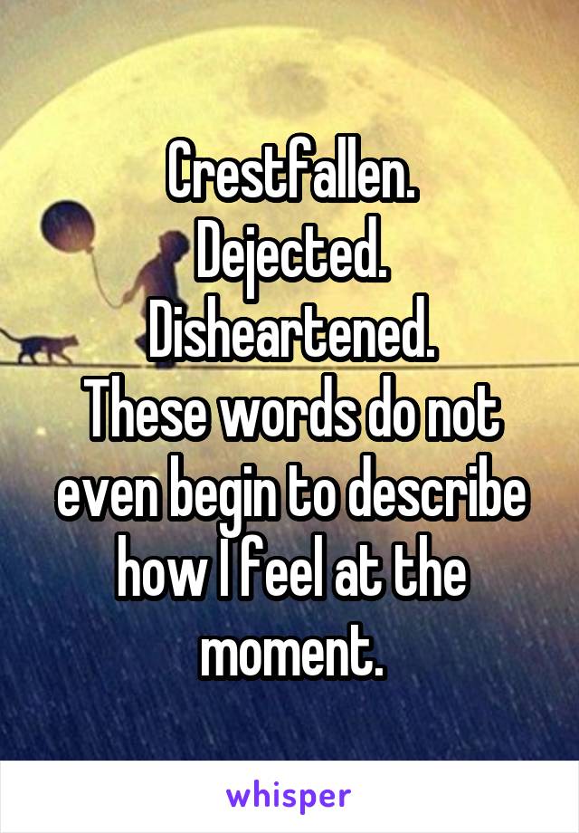 Crestfallen.
Dejected.
Disheartened.
These words do not even begin to describe how I feel at the moment.