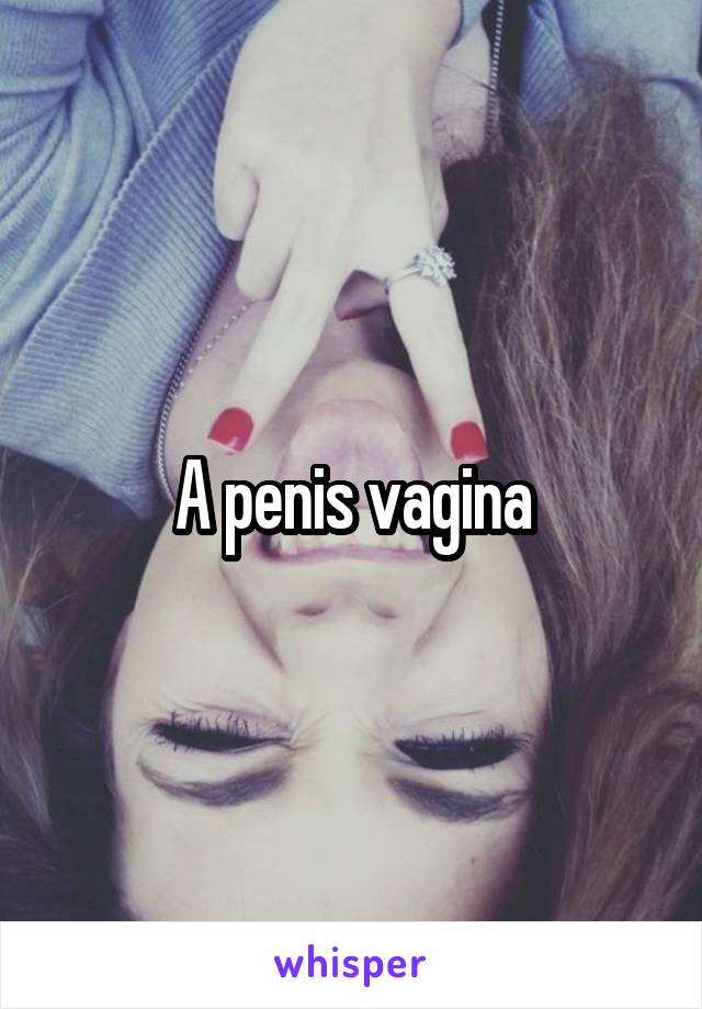 A penis vagina