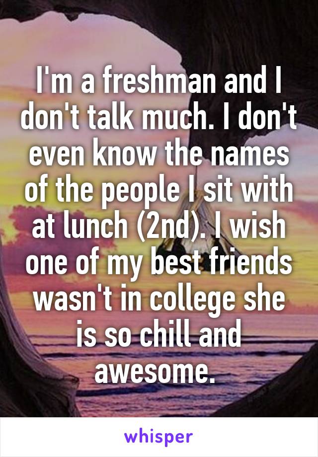 I'm a freshman and I don't talk much. I don't even know the names of the people I sit with at lunch (2nd). I wish one of my best friends wasn't in college she is so chill and awesome. 