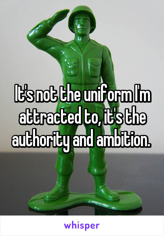 It's not the uniform I'm attracted to, it's the authority and ambition. 