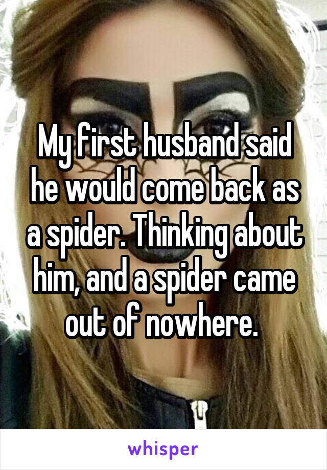 My first husband said he would come back as a spider. Thinking about him, and a spider came out of nowhere. 