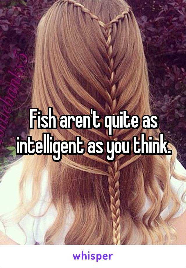 Fish aren't quite as intelligent as you think.