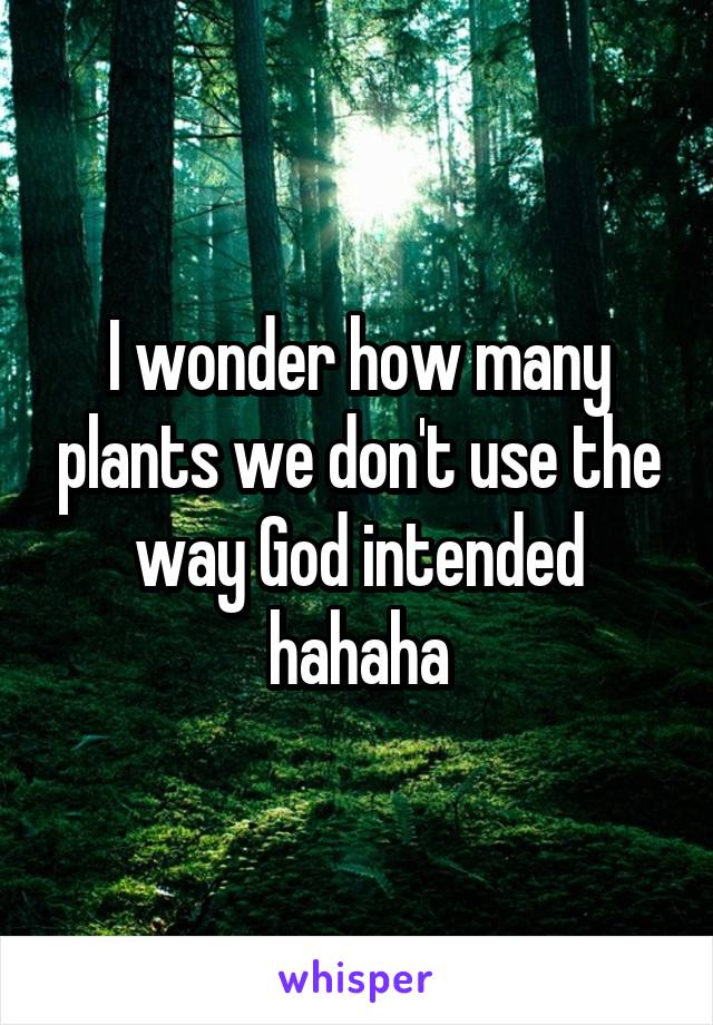 I wonder how many plants we don't use the way God intended hahaha