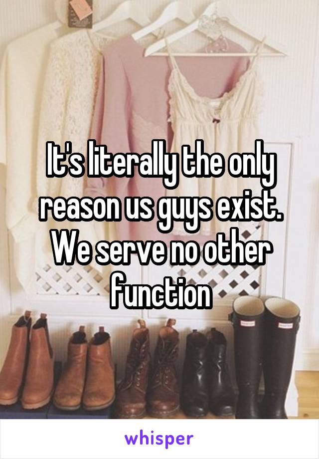 It's literally the only reason us guys exist. We serve no other function