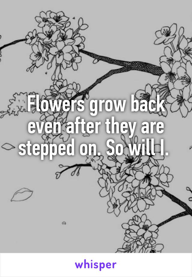 Flowers grow back even after they are stepped on. So will I. 
