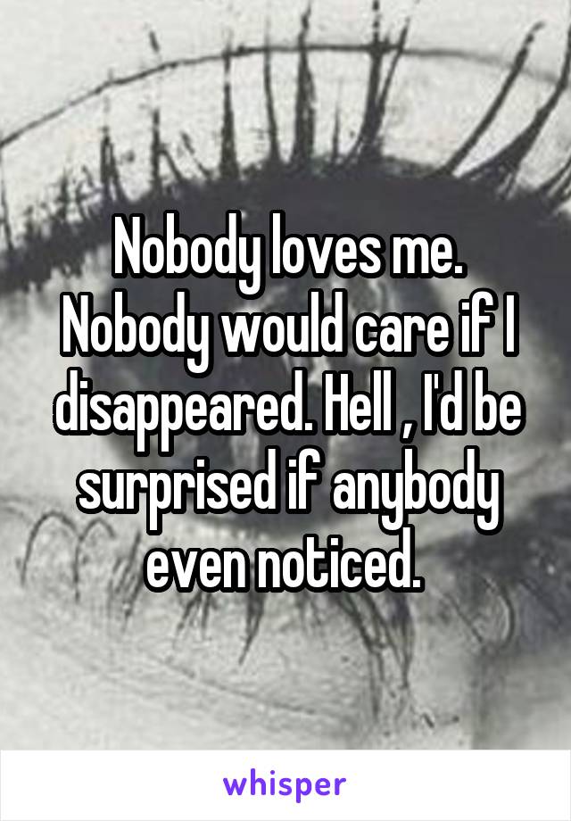 Nobody loves me. Nobody would care if I disappeared. Hell , I'd be surprised if anybody even noticed. 