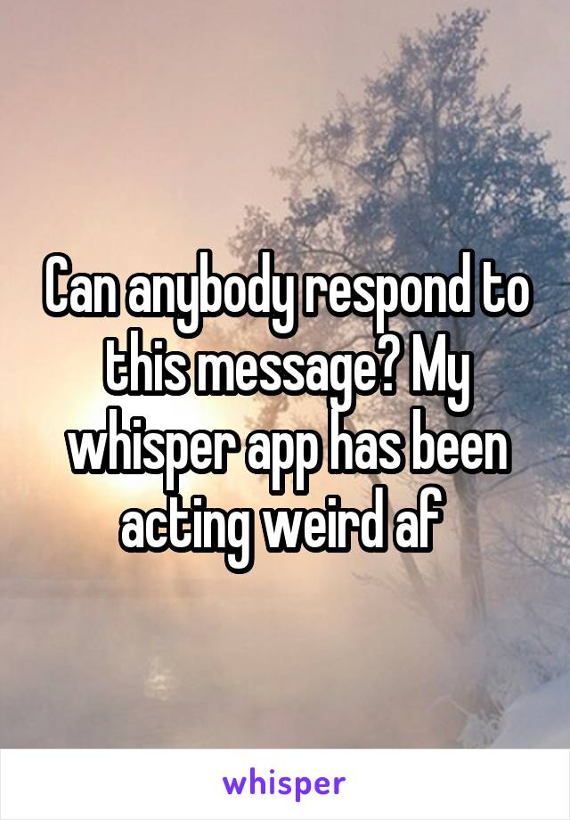 Can anybody respond to this message? My whisper app has been acting weird af 