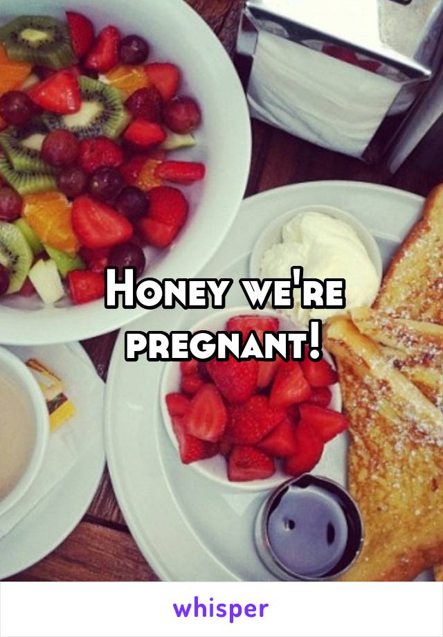 Honey we're pregnant!