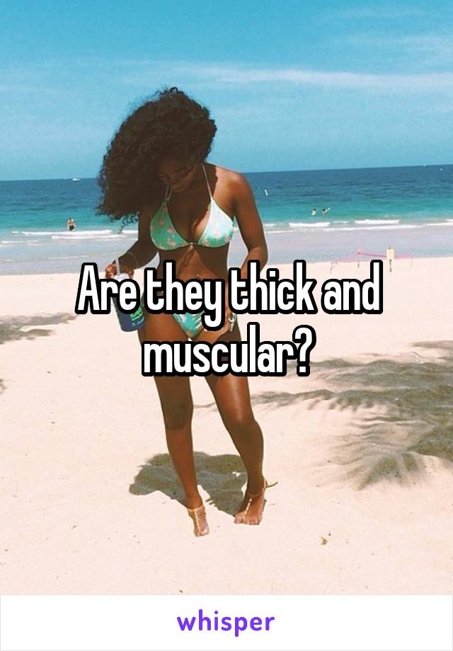 Are they thick and muscular?