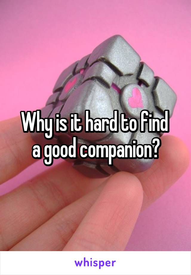 Why is it hard to find 
a good companion?