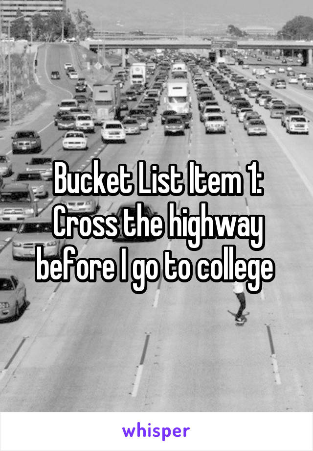 Bucket List Item 1:
Cross the highway before I go to college 