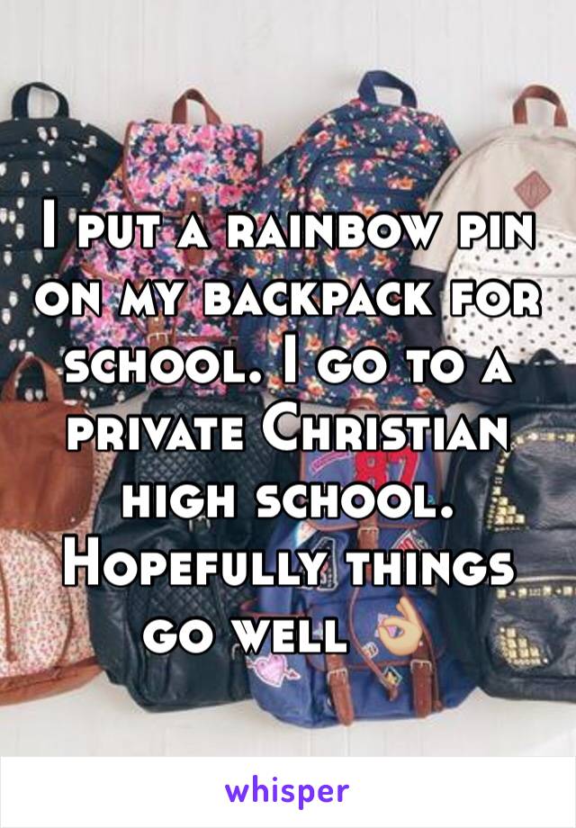 I put a rainbow pin on my backpack for school. I go to a private Christian high school. Hopefully things go well 👌🏼